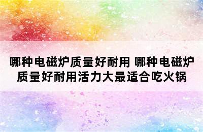 哪种电磁炉质量好耐用 哪种电磁炉质量好耐用活力大最适合吃火锅